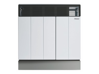 Product image Vaillant VGR 30 F 4 Standing boiler with integrated burner
