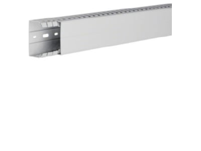 Product image 1 Tehalit HA 740060 lgr Slotted cable trunking system 40x60mm
