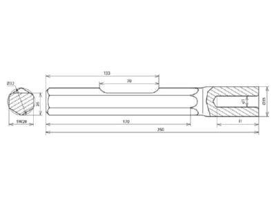 Dimensional drawing 1 Dehn 625 029 Hammer insert for earthing rod
