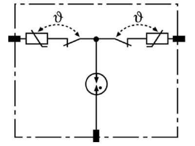 Circuit diagram 2 Dehn DR MOD 255 Surge protection device 2 pole
