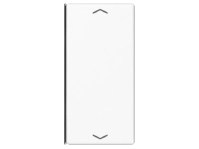 Product image Jung A 402 TSAP WW Cover plate for switch white
