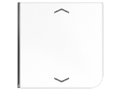Product image Jung CD 404 TSAP WW 14 Cover plate for switch white
