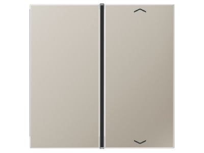 Produktbild Jung ES 2401 TSAP Taste 1 fach eds Symbol Auf Ab