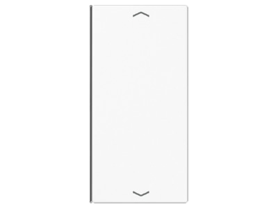 Produktbild Jung LS 402 TSAP WW Taste 2 fach aws Symbol Auf Ab