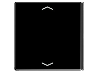 Produktbild Jung LS 404 TSAP SW 23 Taste 4 fach sw Symbol Auf Ab