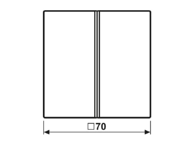 Dimensional drawing Jung ME 2402 TSA C Cover plate for switch brass