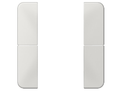 Product image Jung CD 502 TSALG Cover plate for switch grey
