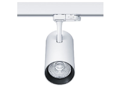 Angled view Zumtobel LUCA L 38 3200 930WH Downlight spot floodlight
