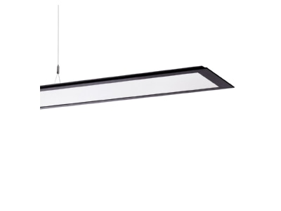 Product image Performance in Light 3120881 Pendant luminaire 1x62W LED exchangeable
